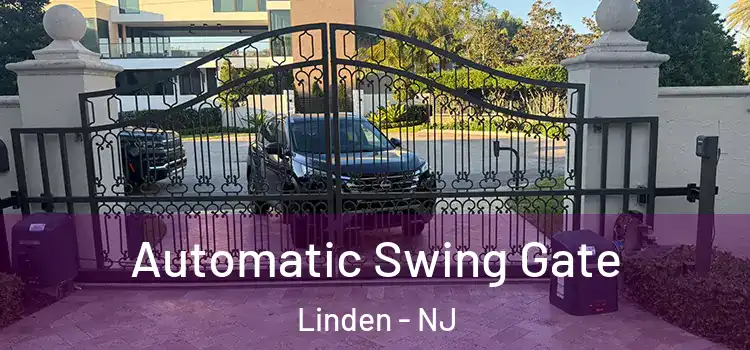  Automatic Swing Gate Linden - NJ