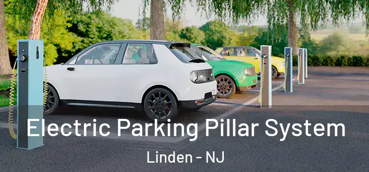 Electric Parking Pillar System Linden - NJ