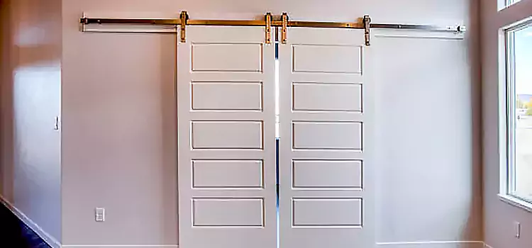 Glass Barn Door with Installation Hardware Kit Linden